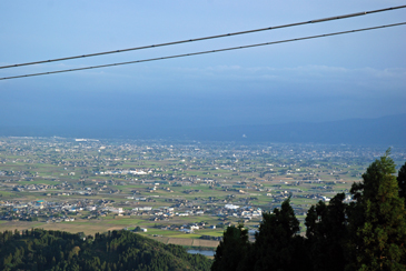 ��������Ɖ�