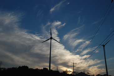 �����̖{���Q