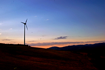 �����̊ό��q