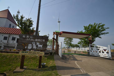 �����̖{���Q