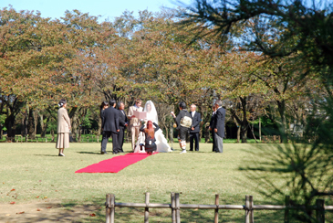広場での結婚式