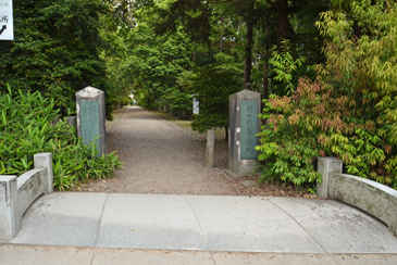 �揊�����