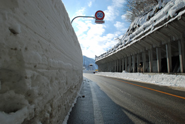 �����Q�T�U����