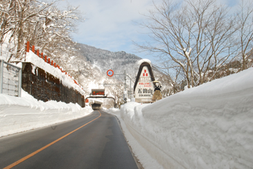 �����Q�T�U����