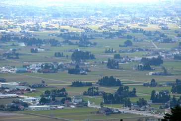 �U�����@���̕��X�L�[��