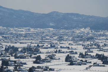 ��̎U����