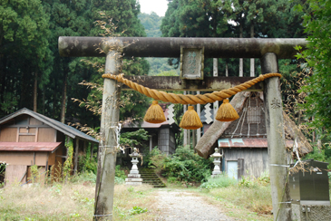 �����Q�T�U����