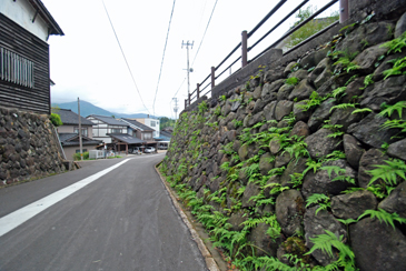 �Ί_�̒�����