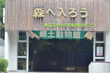 ���y������