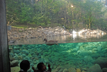 �����̖{���Q