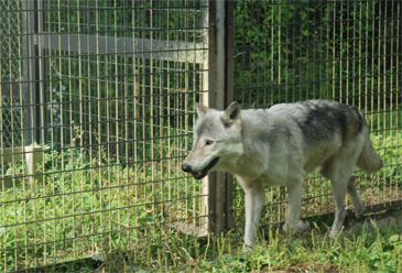 �����̖{���Q