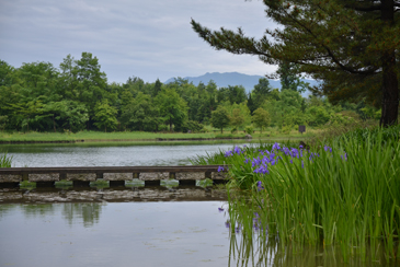 �����̊ό��q