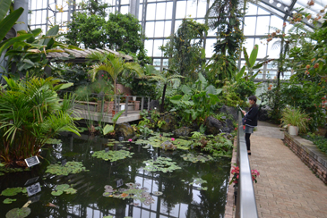 �����̖{���Q