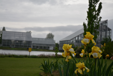 �����̖{���P