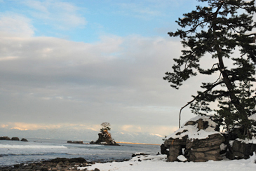 �J���C��