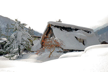 �܉ӎR�@���q