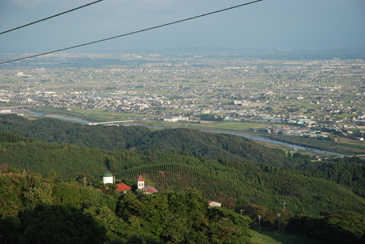 ��t�R�q��