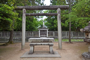 �O�c�������揊