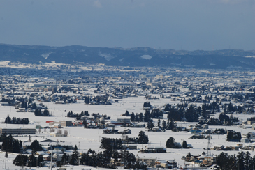 �v�g�U����