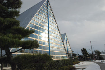 �����W����