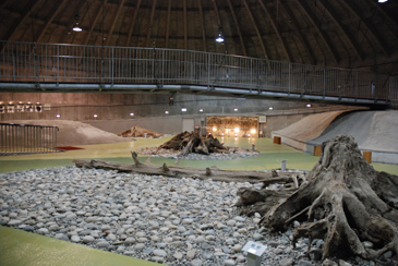 �����W���ف@����