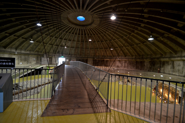 �����W���ف@�㕔