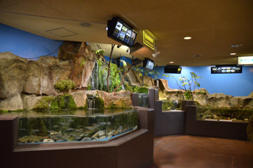 �����W����