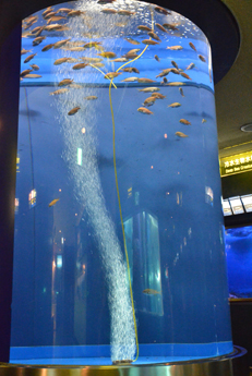 �����W���كh�[����