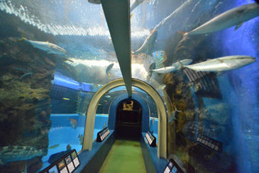 �~�`����