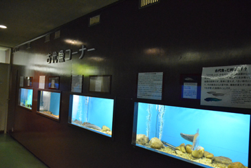 �Ñ㋛����