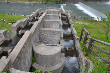 スパイラル魚道