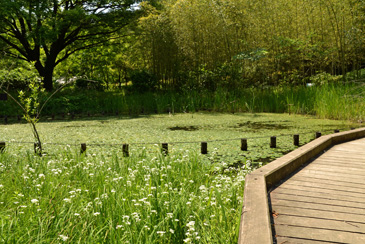 ���������p���_�C�X