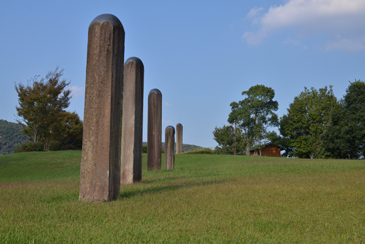 �f���[�P���_��