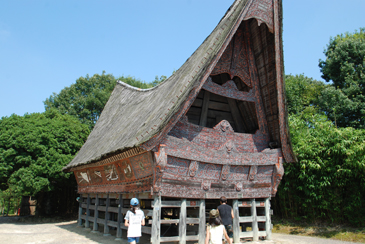 �C���h�l�V�A�@�g�o�E�o�^�b�N�̉�