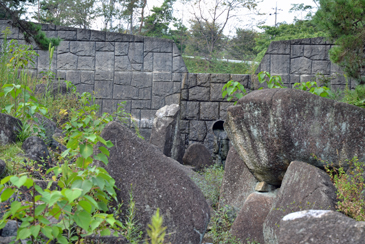 ���h�_��