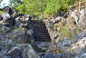 �f���[�P���_��