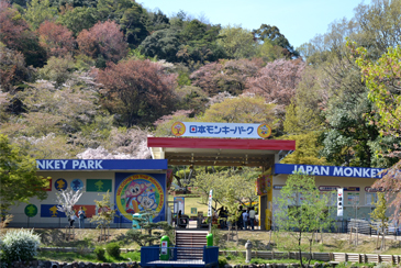 �����L�[�Z���^�[